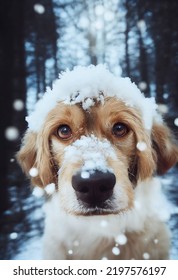 Photo Of A Dog In Nature In The Snow Forest, Looking At The Camera. Soft Coat, Glamour Style Photo, Pet For Advertising. Female And Male Dog Photography.