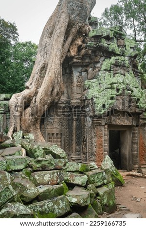 A photo of a doorway leading into a partially collapsed structure at the Ta Prohm temple site. One of the large, famous spung trees grows on the roof and fallen sandstone blocks lay in the foreground.