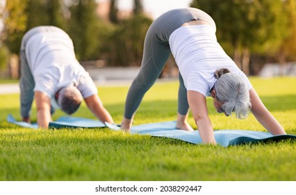 Photo Of Elderly Family Couple Senior Husband And Wife Practicing Yoga Outside, Standing In Downward Facing Dog Adho Mukha Svanasana Pose  On Green Lawn In Park. Healthy Lifestyle In Retirement