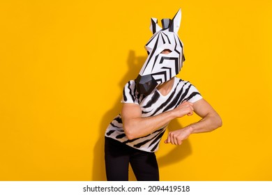 Photo Of Energetic Weird Incognito Guy In Zebra Costume Dancing Isolated Over Bright Yellow Color Background