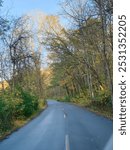 Photo of a fall road taken in Cuivre River State Park, located in Troy, Missouri.