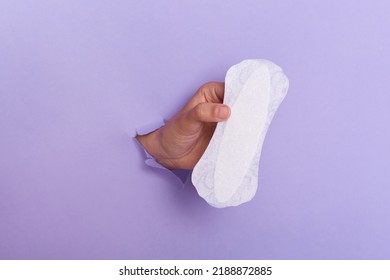 Photo Of Female Hand Holding Daily Sanitary Pad Through Torn Purple Paper Background, Women Health Care During Period, Gynecology.