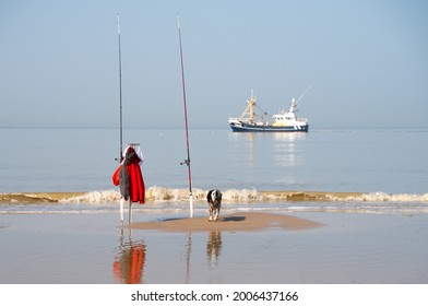 A photo of fishingrods and a dog on a dutch beach with a fishing boat in the background.