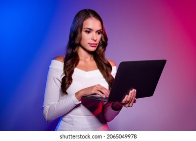 Photo Of Focused Gamer Girl Hold Laptop Solo Carry Game Match Wear White Shirt Isolated Neon Gradient Color Background