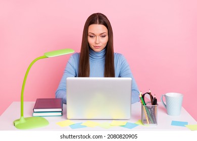 Photo of focused marketer lady write project boss sit desk use netbook isolated over pastel color background