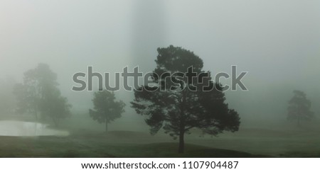 Photo of a foggy golf course