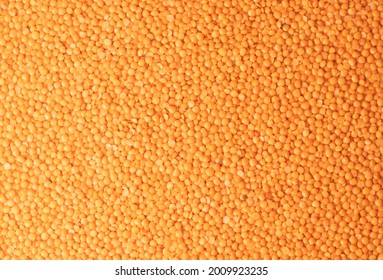 Photo Food Red Lentils Groats. Texture Background Grain Red Lentils Groats