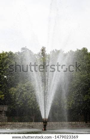 Similar – Image, Stock Photo Fog in a garden Garden