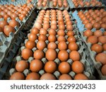 Photo of fresh eggs neatly arranged in an egg carton at a supermarket. The eggs are organized in a clean, orderly manner, showcasing the concept of freshness, organization, grocery shopping