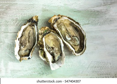 A photo of freshly opened oysters on a wooden background texture with copyspace