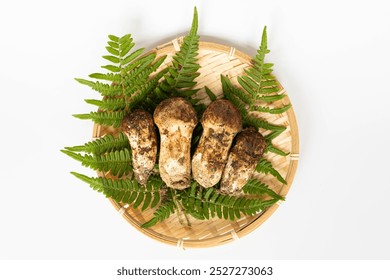 Photo of freshly picked matsutake mushrooms - Powered by Shutterstock