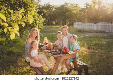 Photo of full big family five people three small kids cuddle sit bench table rest tasty breakfast eat apples veggie salad juice generation sunny day comfort house park backyard outside - Powered by Shutterstock