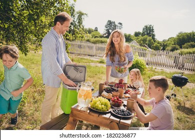 Photo Of Full Big Family Gathering Five People Dad Hold Fridge Grill Mom Serve Dishes Little Kids Enjoy Childhood Generation Sunny Summer Day Green Home Park Street Backyard Outside