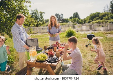 Photo Of Full Big Family Gathering Five People Daddy Prepare Bbq Cooler Mom Hold Salad Siblings Play Game Tag Served Lunch Table Barbecue Sunny Summer Day Green Home Park Backyard Outdoors