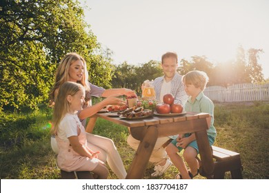 Photo of full big family two small kids enjoy childhood weekend sit bench relax breakfast table share homegrown harvest meals fruits generation comfort home backyard trees grass outdoors