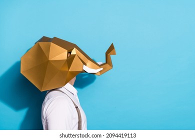 Photo of funky curious guy dressed wild animal mask looking up empty space isolated blue color background