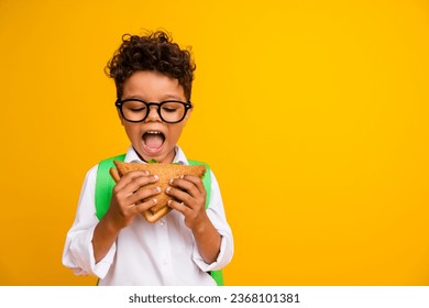 Photo of funky cute schoolkid open mouth bite eat delicious sandwich empty space isolated on yellow color background - Powered by Shutterstock