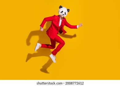 Photo Of Funky Hurry Panda Guy Jump Hurry Late Wear Mask Red Tuxedo Sneakers Isolated On Yellow Color Background