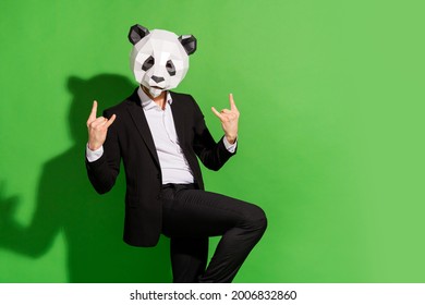 34 Panda Wearing Pants Images, Stock Photos & Vectors | Shutterstock