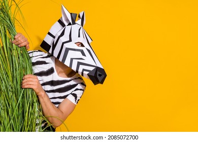 Photo of funny funky guy dressed wild animal costume hiding behind high grass looking empty space isolated yellow color background