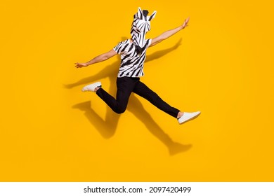 Photo of funny funky guy dressed wild animal costume jumping high arms sides isolated yellow color background