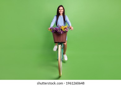 Photo of funny sweet young woman dressed blue outfit driving bike smiling isolated green color background
