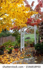 Photo of a garden archway surrounded by fall leaves.