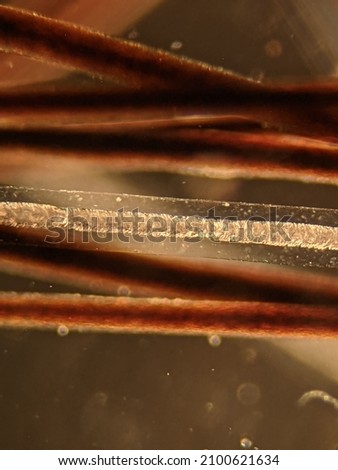 photo of goat hair under the microscope