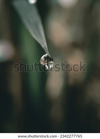 A photo of grass dew
