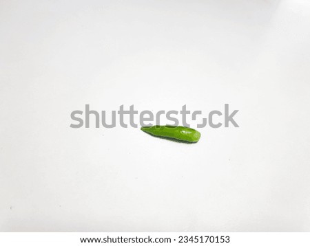 Similar – Image, Stock Photo A finger ring, spontaneously woven from blades of grass on a walk.