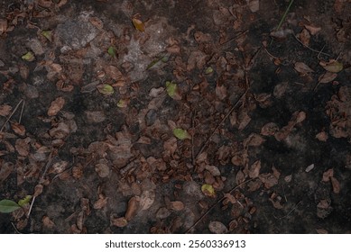Photo of ground texture pattern