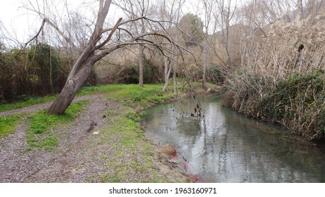 Photo Of The Guadalete River.