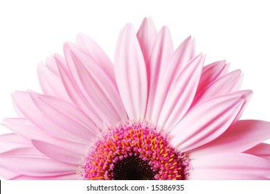 82,053 Half Flower Images, Stock Photos & Vectors 