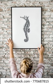 Photo of hand drawing seahorse is hanging on the wall