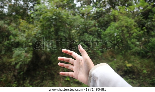 Photo of a\
Hand Waving as The Car Drove in\
Parbuluan