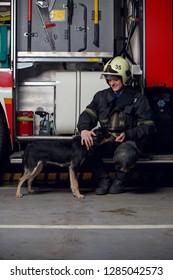 Photo Of Happy Fireman In Helmet With Dog