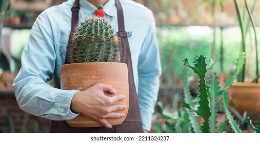 Photo Of Happy Young Male Flower Grower Embraces Big Pot With Prickly Cactus , Man At Work In Greenhouse With Cactus. 