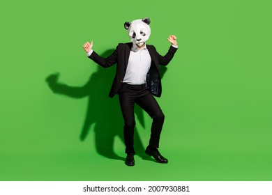 Photo Of Hipster Absurd Man Dance Disco Wear Panda Mask Black Tux Shoes Isolated On Green Color Background