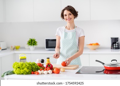 Photo of housewife attractive chef lady arms holding tomato cutting knife enjoy morning cooking tasty dinner family meeting wear apron t-shirt stand modern kitchen indoors