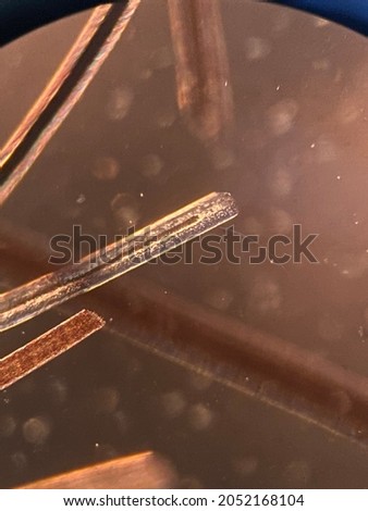 photo of human hair under microscope