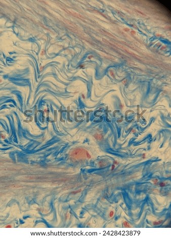 photo of human tissue under the microscope