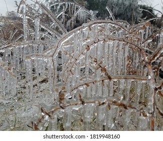 ice cycle