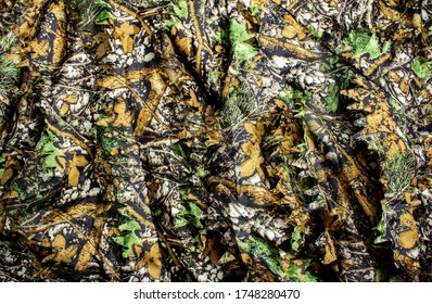 Photo Of A Hunting Forest Camouflage Textured Cloth.