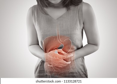 The photo of internal organs is on the women's body against gray background, Viscera on Human - Shutterstock ID 1133128721
