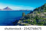 Photo of an island full of sahuaros in front of San Carlos Sonora, Mexico. In the background the Tetakawi mountain creates an iconic contrast with the sea. 