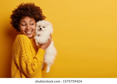 Photo of joyful female hostess raises white puppy in hands, holds tightly spitz dog, wears knitted sweater, models over yellow wall, copy space area for your promotion. Look at my four legged friend - Powered by Shutterstock