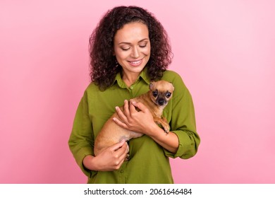 Photo of joyful young happy afro american woman hold dog best friend lover owner isolated on pink color background