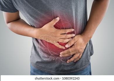 The photo of large intestine is on the man's body against gray background, People With Stomach ache problem concept, Male anatomy