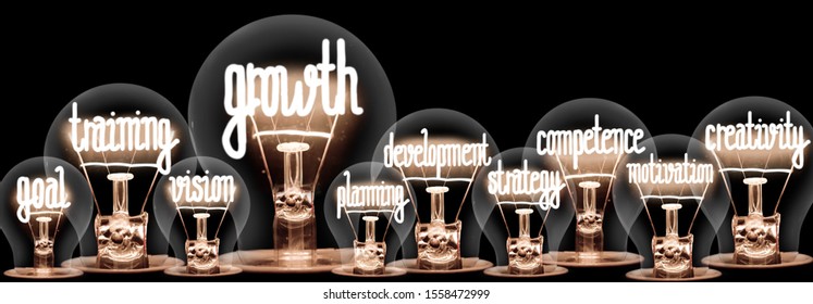 Photo of light bulbs group with shining fibers in a shape of Growth, Teamwork, Leadership, Career and Strategy concept related words isolated on black background