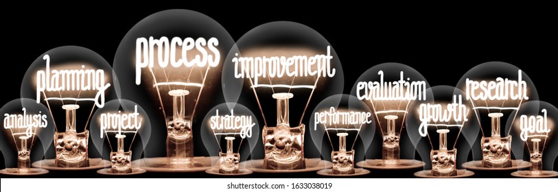 Photo of light bulbs with shining fibers in Process Improvement, Planning, Evaluation, Research and Growth shape isolated on black background.